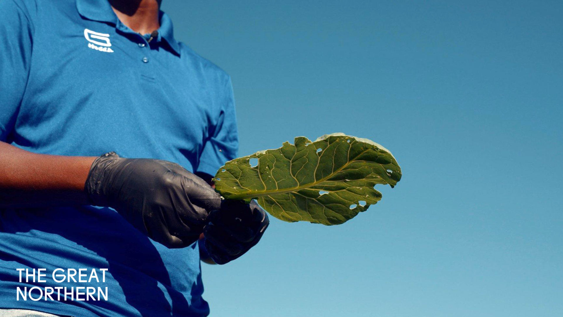 Rooted: Stories from Minnesota’s Farming Future